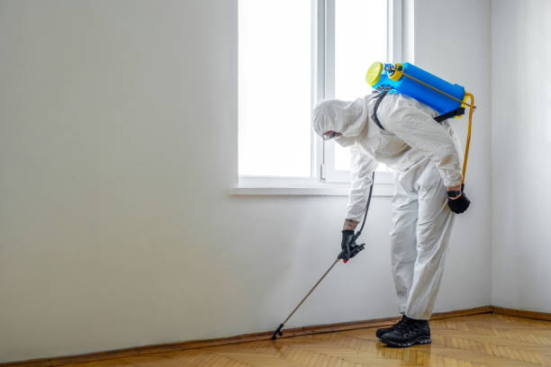 Reliable Pacifica, CA Pest Control Solutions